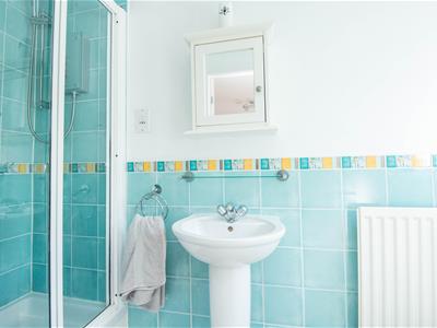 Picture 15